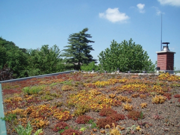 Obr. 3: Reservatum Rusticum – Zelená střecha na zahradnickém vejminku, Zadní Třebaň