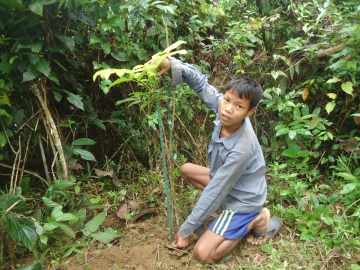 Onr. 1: Organizace Tahzingdong z Bangladéše za zachování více než 12 tisíc hektarů lesa
