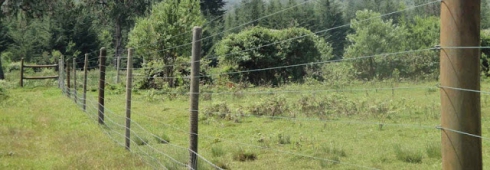 Projekt z Tanzanie využívá plastový odpad k výrobě netradičních venkovních plotů