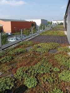 Realizace vegetační střechy na administrativní budově