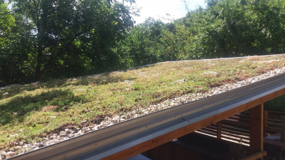 Zelená střecha na rodinném domě, 2. místo: Střecha na venkovní kuchyni, foto archiv odborné sekce Zelené střechy při SZÚZ