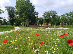 Velískova zahrada Zlín, foto archiv Acris a Zuzana Řezníčková