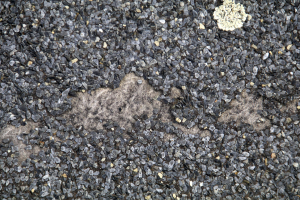 Obr. 7: Výztužná vložka pod zmizelou vrchní vrstvou asfaltové hydroizolace