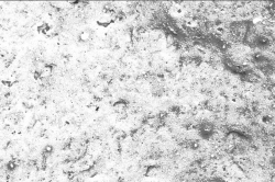 Mikroskopicky hladký povrch Baumit NanoPorTop znesnadňuje usazování nečistot