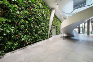 Kooperativa: Velkolepá vertikální zahrada oživila strohost kancelářské budovy