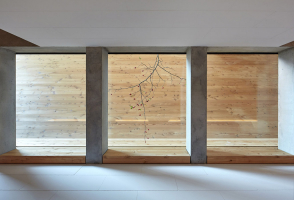 Interiéry jsou homogenní, tvoří kompaktní monolit – prosvětlení přízemí a podkroví u schodiště