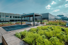 Neodmyslitelnou součástí administrativních budov v BB Centru jsou prostorné střešní zahrady s relaxačními místy