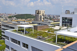 Zelené střechy na administrativních budovách zpříjemňují pracovní prostředí
