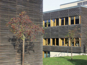 Ukázka dřevěné fasády (Zdroj: CPD)