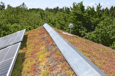 Solární technologie a zeleň na budově lze kombinovat více způsoby