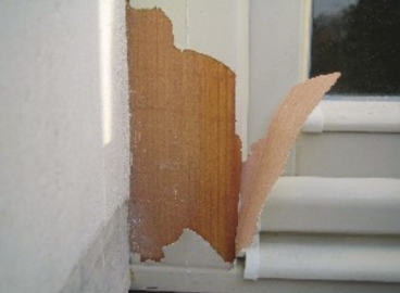 Obr. 1: Odlupování laku dřevěných oken v důsledku zvýšené vlhkosti