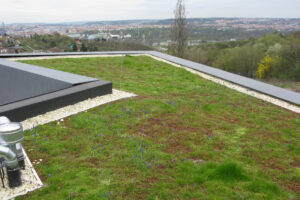 Moderní vegetační střechy ISOVER