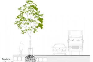 Ochranné boxy pro kořeny stromů ve městech