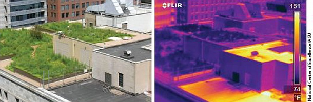 Snímek z termokamery dokazuje, že zelená střecha je v letních měsících chladnější než běžná střecha