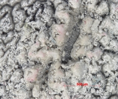 Obr. 11: Detail degradace vrchní vrstvy fólie, kde je dokonce patrná výztužná vložka (v červeném kruhu)