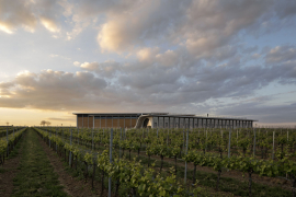 Vinařství Lahofer, založené v roce 2003, dnes s 430 hektary vinic a roční produkcí až 800 tisíc lahví, patří k největším pěstitelům vína u nás. Celý prostor se otevírá na jih do klesajícího svahu, z každého pole je výhled mezi řádky vinice