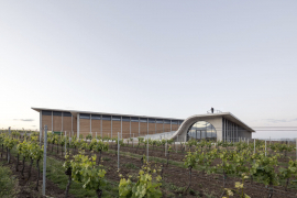 Vinařství Lahofer, založené v roce 2003, dnes s 430 hektary vinic a roční produkcí až 800 tisíc lahví, patří k největším pěstitelům vína u nás. Celý prostor se otevírá na jih do klesajícího svahu, z každého pole je výhled mezi řádky vinice